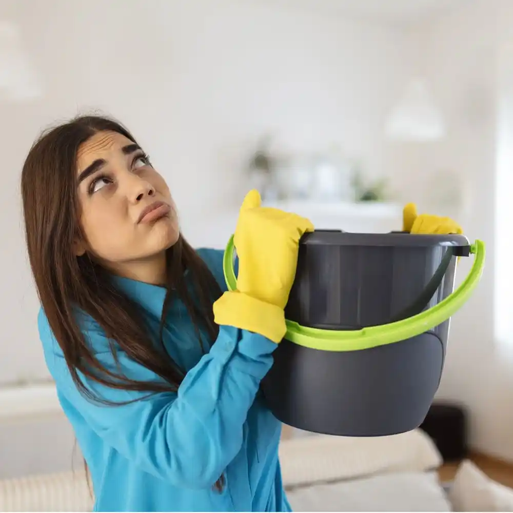 water damage restoration service Gibsland